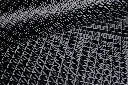 2026-carbon-diamond (1).webp