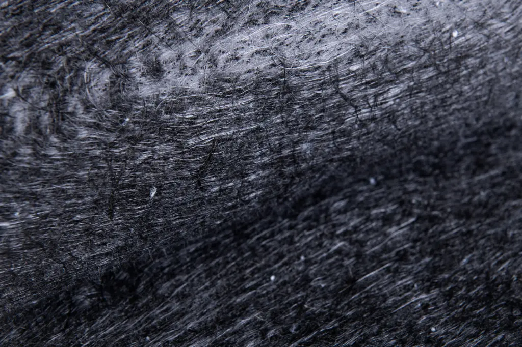 2026-carbon-nw.webp