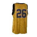 48262-4262_IOW-Wetshirt_Basketball_men_06_618_gold-burst_back.webp