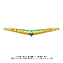 DTF-42270-3529-Unit-D-LAB---WING_text.webp