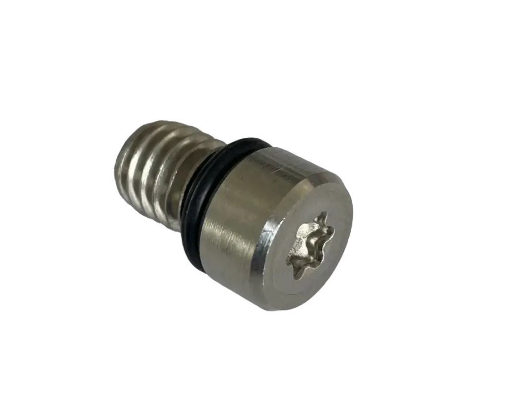 JP Air Valve Screw - T30 including o-ring