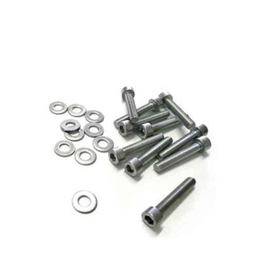 [TWA031643] TAHE WIND BEACH FIN SCREW x10 31643